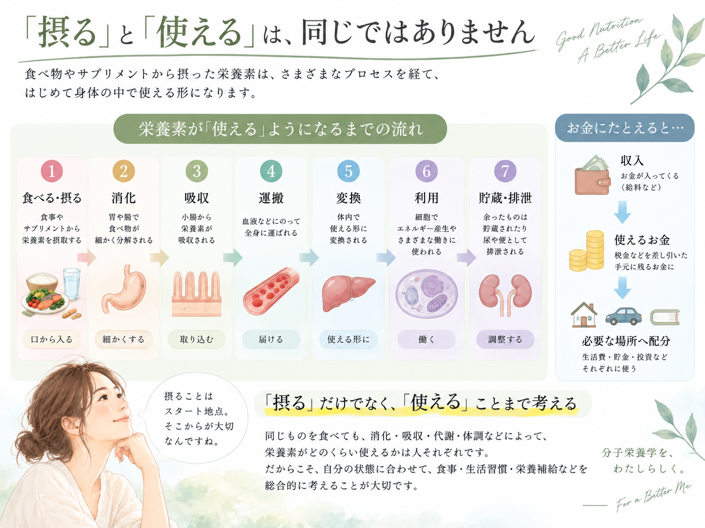 栄養素を摂ることと身体で使えることの違い｜消化・吸収・運搬・変換・利用の流れ